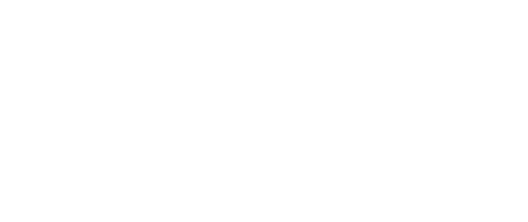 Nis America Inc