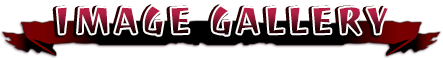 Image Gallery