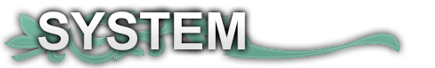 System